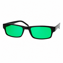 PASTL Cruz Sunglasses